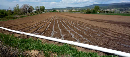 Flooding furrows is a time-tested but relatively inefficient method of watering crops around the world. Photo by Jessica "The Hun" Reeder (Flickr/Creative Commons)