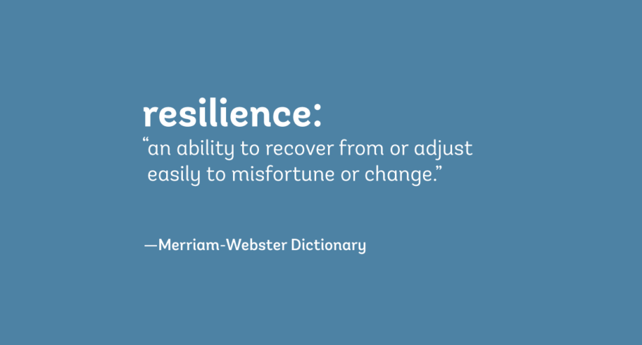 43-resilience-examples-2024