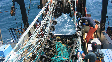 Large-scale drag tests with fishing nets for sustainable fishery