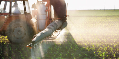 Tractor fertilizing crops