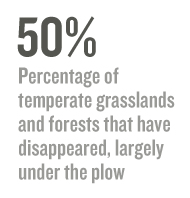 50% Percentage of temperate grasslands and forests that have disappeared, largely under the plow