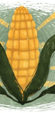 OPINION: It’s Time to Rethink America’s Corn System