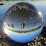 Conservation Crystal Ball