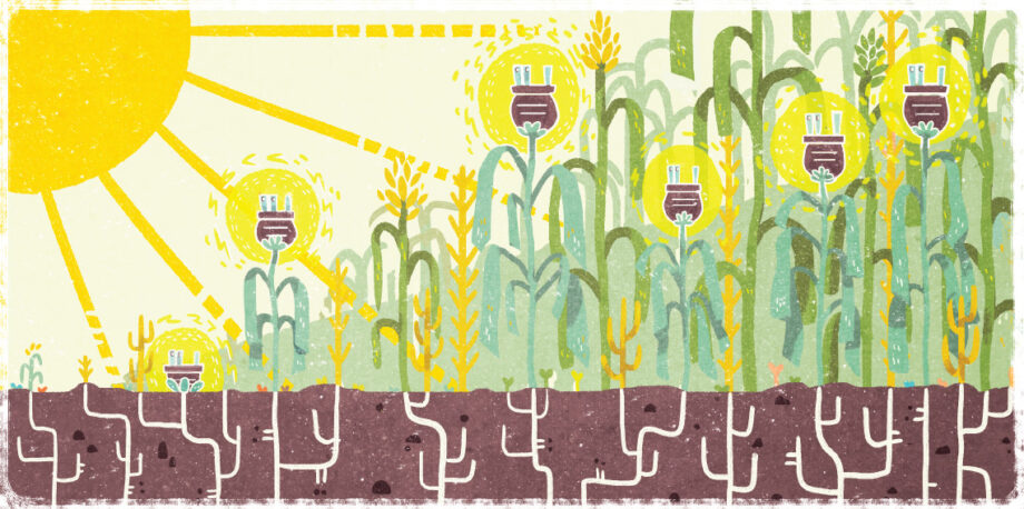 Farmland with conceptual electrical plug blooms
