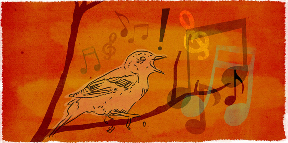 Singing nightingale bird