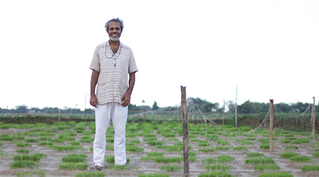 Debal Deb, founder of the Vrihi seed bank in West Bengal, brought new hope in the form of salt-tolerant indigenous rice to the Sundarbans after farmlands were flooded by a 2009 storm. Source: Jason Taylor.