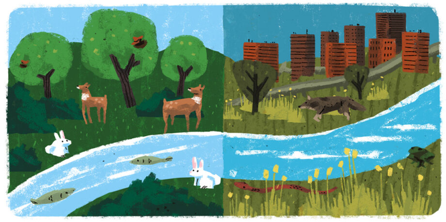 Two scenes with varied wildlife and nature versus buildings