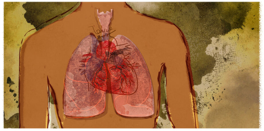 Pollution in lungs and heart