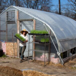 Carolyn Leadly outside greenhouse at Rising Pheasant Farms