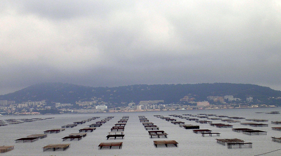 Aquaculture will need to adapt in different ways because of ocean acidification. Photo by Astacus (Flickr/Creative Commons). 
