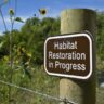 Environmental restoration is big business