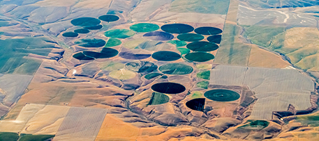 Center pivot is the most common type of irrigation in many parts of the U.S. iStock photo © James Brey
