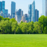 How big should urban green spaces be?