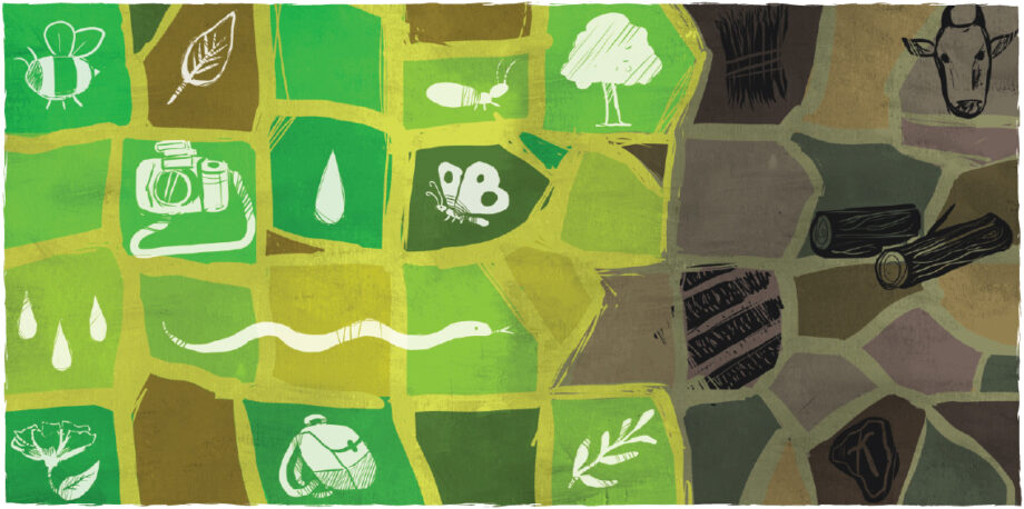 Mosaic of Amazon forest services and threats