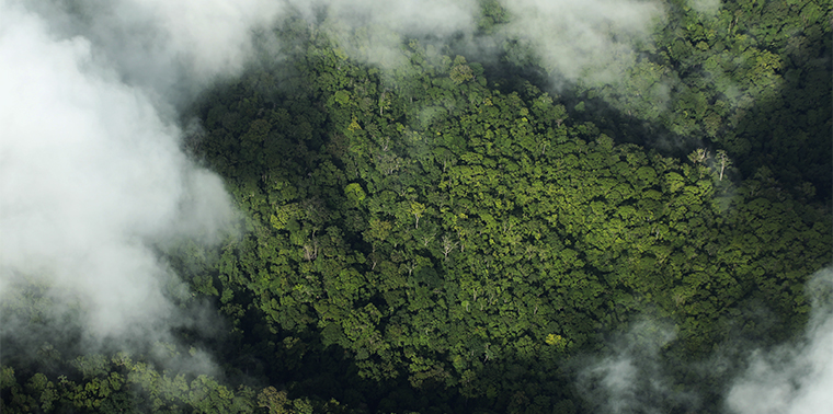 Aerial view of rain forest in Costa Rica