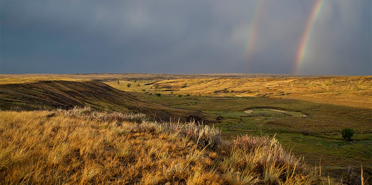 Rainbow at American Prairie Reserve