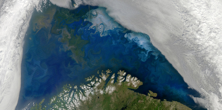 Phytoplankton blooms in the Barents Sea