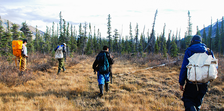 Young Dene hunters walk through the boreal forest of the Mackenzie Mountains to find caribou