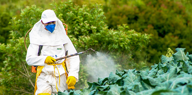 Spraying pesticides in Brazil