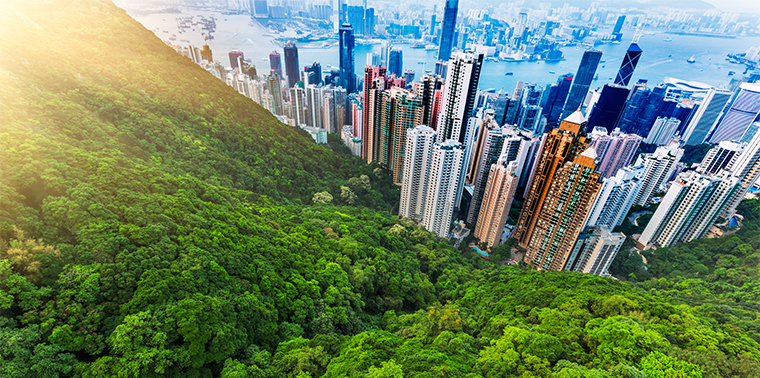 Hong Kong city and forest