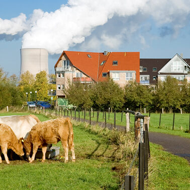 The surprising way fumes from farms are harming our health