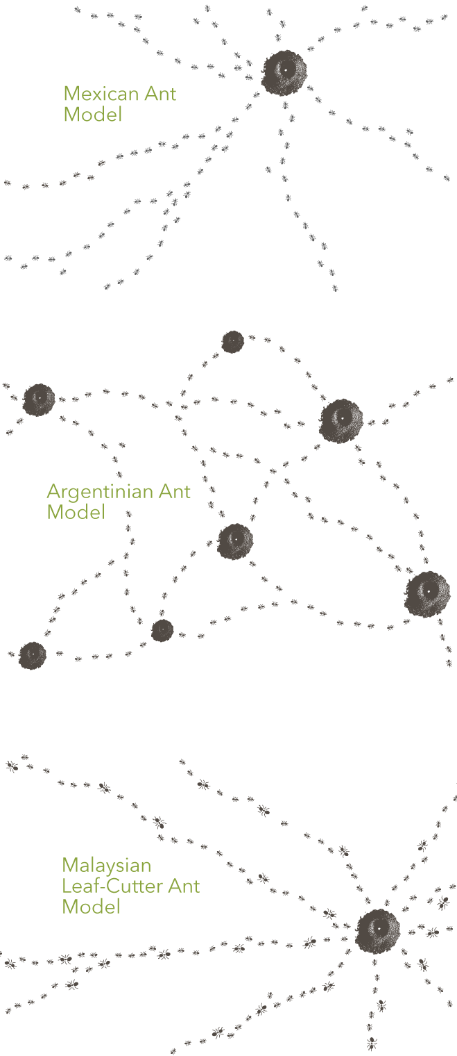 Food by local farmers. Distribution system by ants. Biology Diagrams