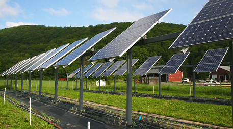 Massachusetts solar farm with crops
