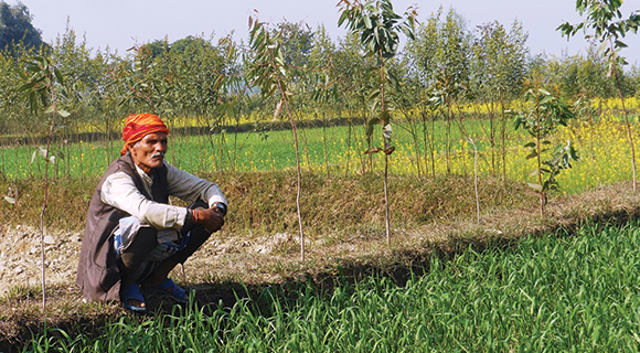 sustainable intensification in Nepal