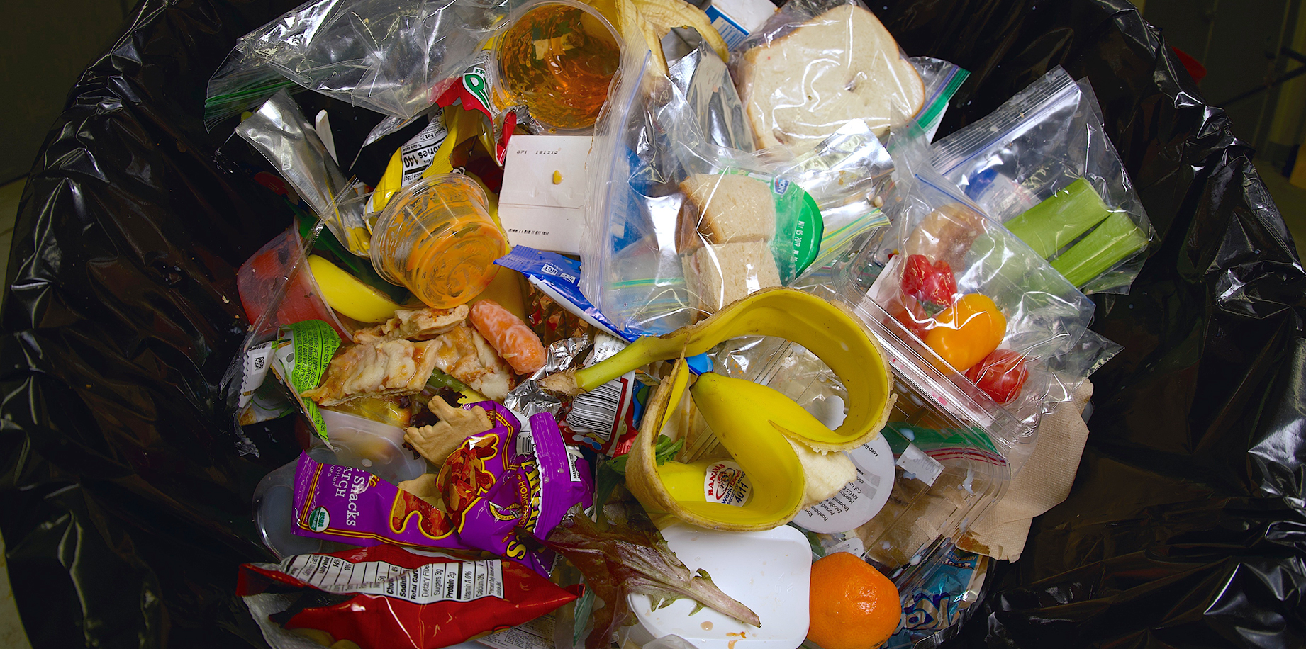 How Much Food Is Wasted In Schools