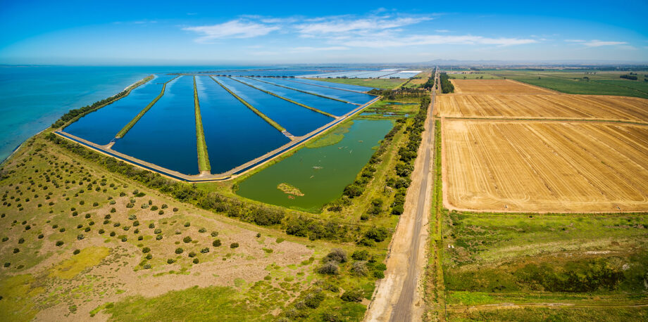 Can we stomach using recycled water in agriculture? | Ensia