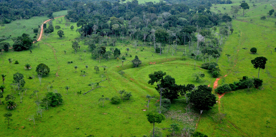 Aerial view of the  Rainforest - CIFOR Knowledge