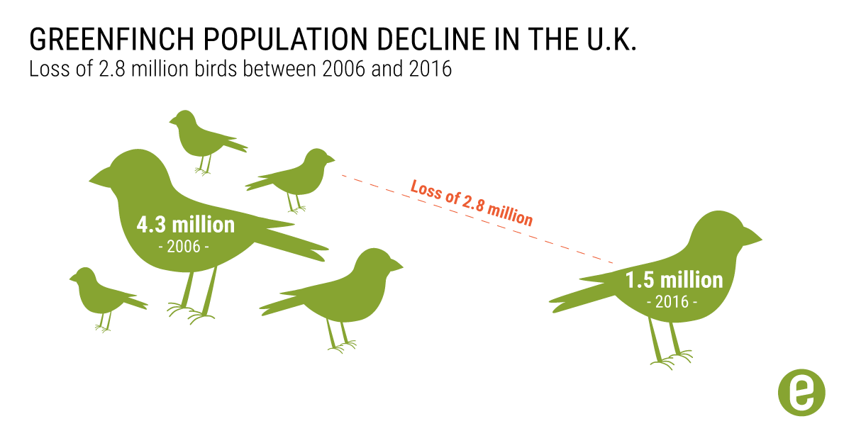 The Dilemma Of Interacting With Birds And Other Wildlife Ensia