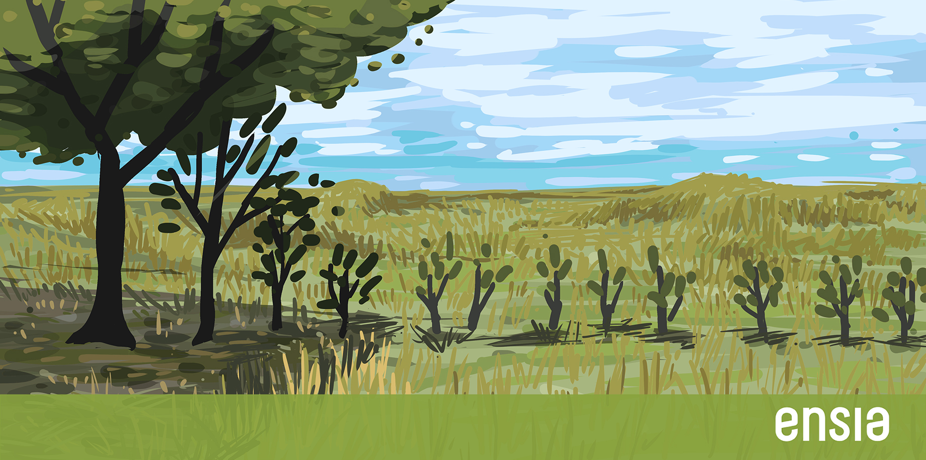 cartoon dry grassland