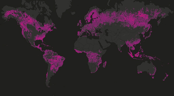 global tree loss, 2001–2017
