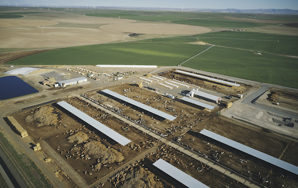 dairy in Oregon