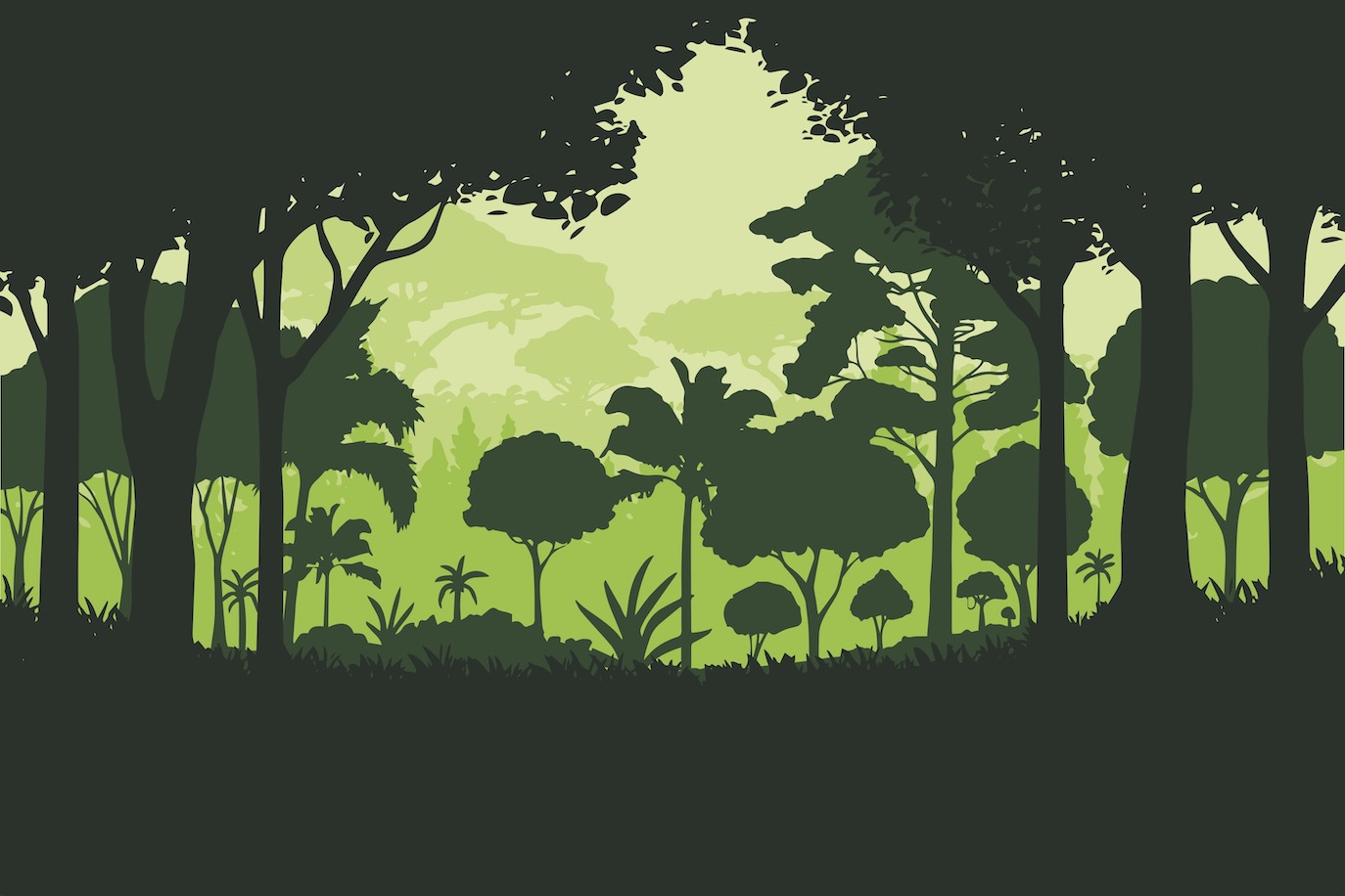 illustration of trees in a rainforest