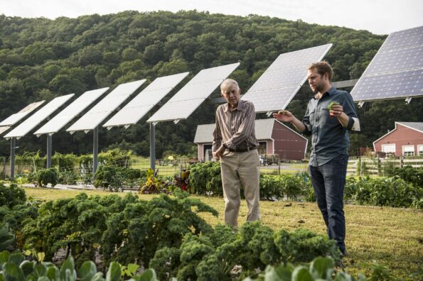 NREL researcher Jordan Macknick and UMass professor Stephen Herbert survey the test plot at the UMass Crop Animal Research and Education Center in South Deerfield, MA.