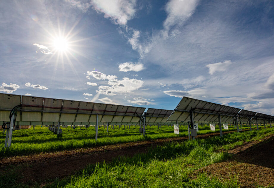 The sun shines on the solar array at Jack’s Solar Garden in Longmont, Colo.
