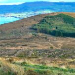 Amidst County Clare's rolling hills, the remaining stands of a Sitka Spruce plantation form a quilted landscape.