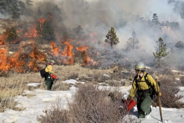 Image shows two people in yellow jackets performing a prescribed burn in the Arapahoe and Roosevelt national forests, Colorado, February 2019.